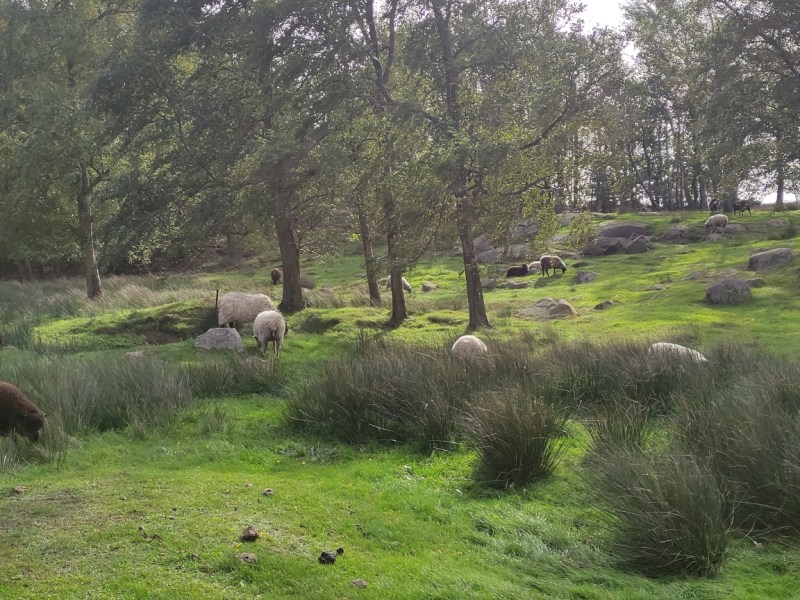 Travel & Draw | Bornholm&nbsp;23