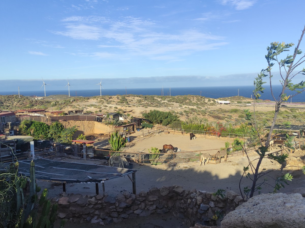 Travel & Draw | Tenerife&nbsp;25